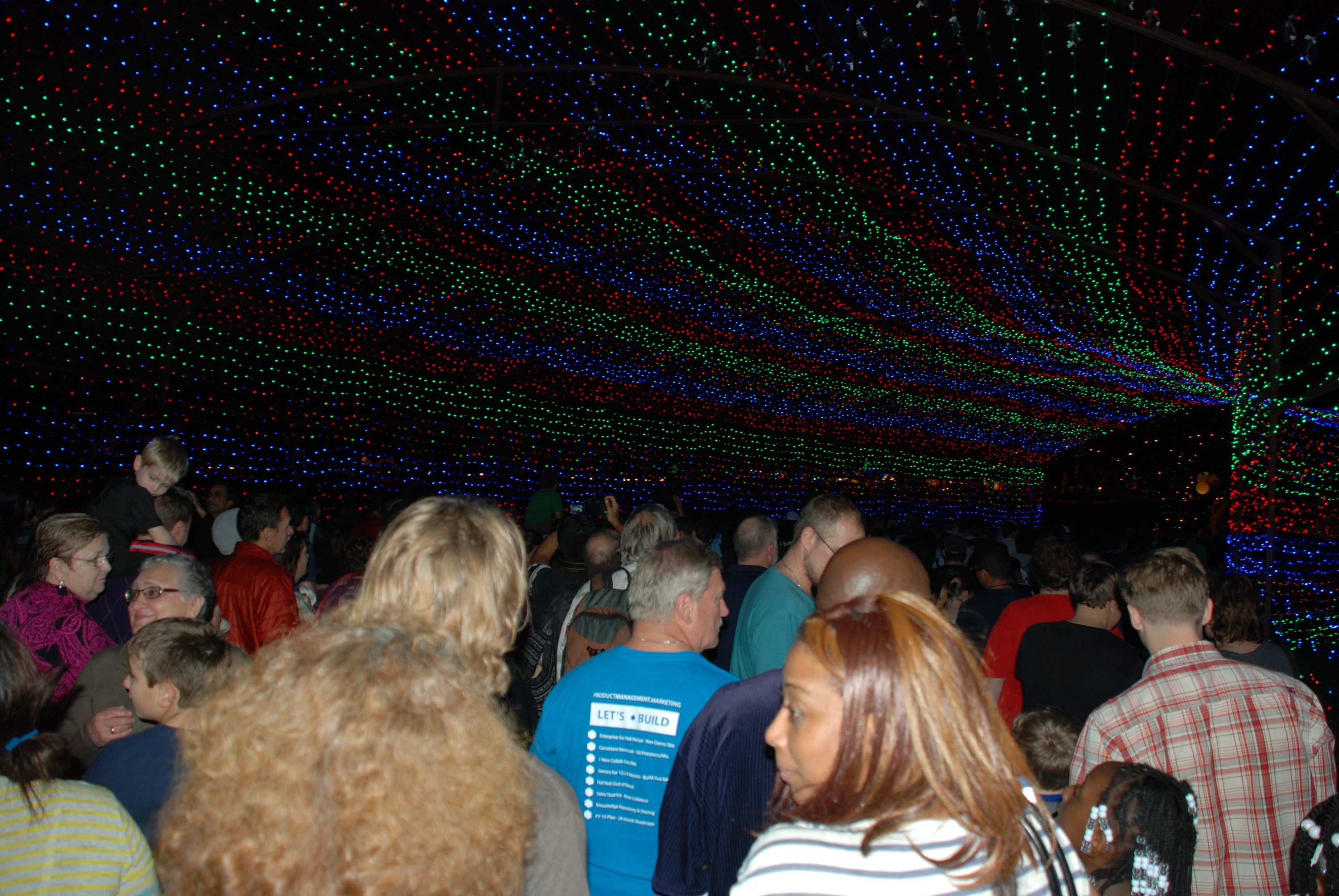2013-12-20 20-18-12 Trail of Lights.jpg